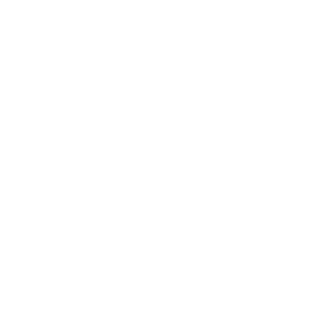 Check Icon